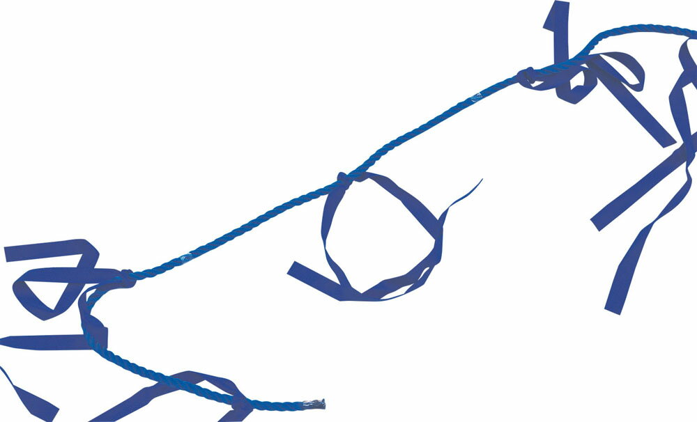 カネヤ 学校体育器具 むかでロープ 運動会小物 むかでロープ5 K-3469 K-3469 BL 青(4)