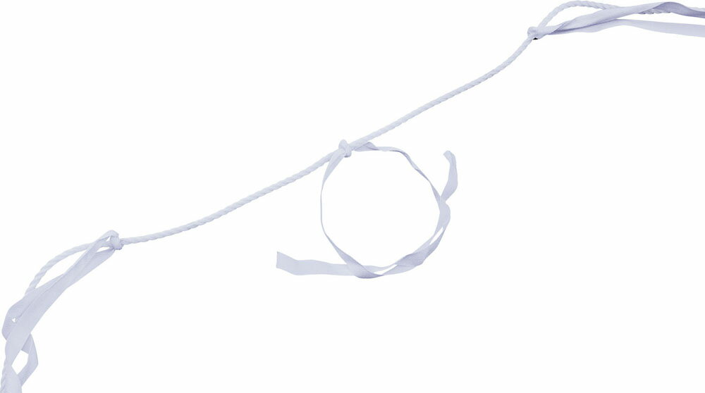 カネヤ 学校体育器具 むかでロープ 運動会小物 むかでロープ5 K-3469 K-3469 WT 白