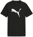 プーマ マルチスポーツ Tシャツ Tシャツ TAD ESS キャット ロゴ Tシャツ B 527188 1 PUMA Black ジュニア