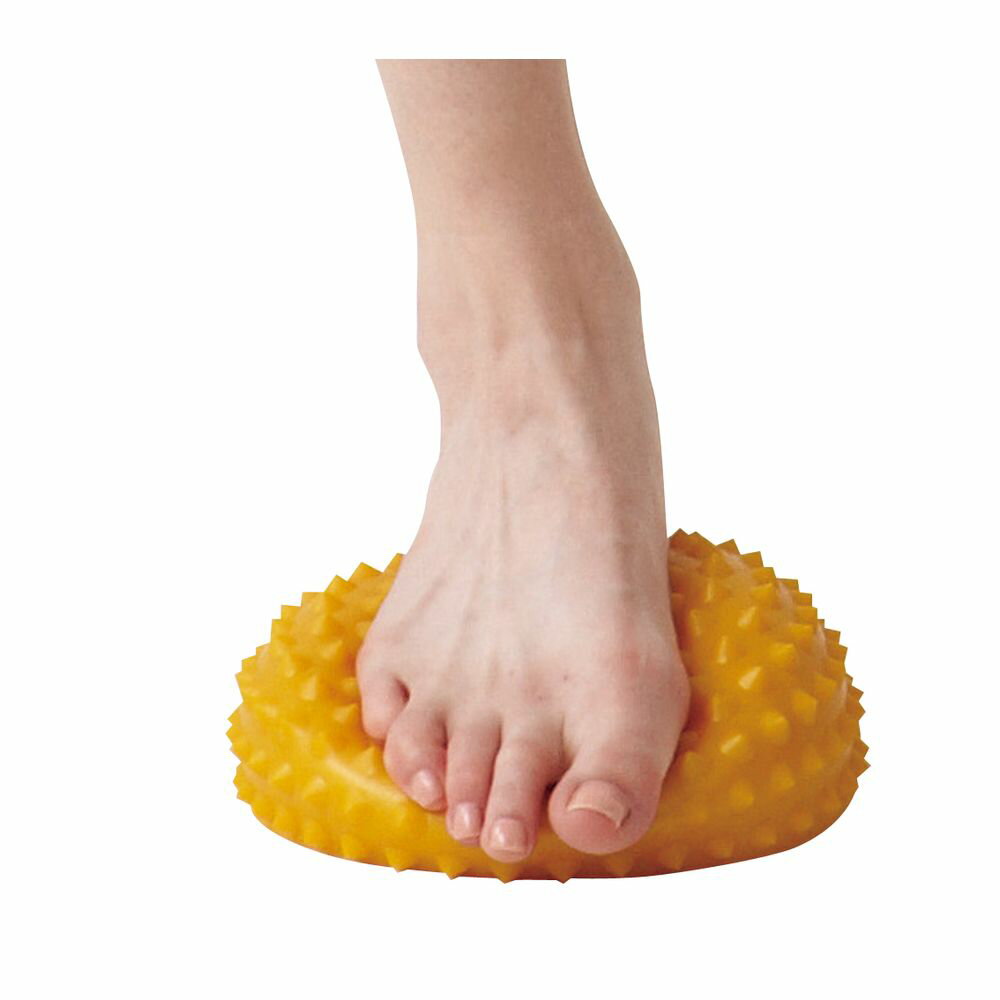 ハタ パーソナルトレーニング用品 その他パーソナルトレーニング用品 バランスポッド DBP200 メンズ・..