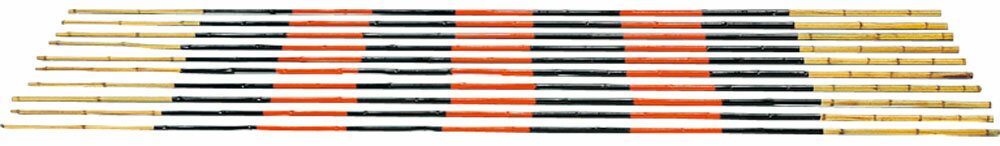 エバニュー 学校体育器具 器具・備品 竹バー(10本組) EGB030