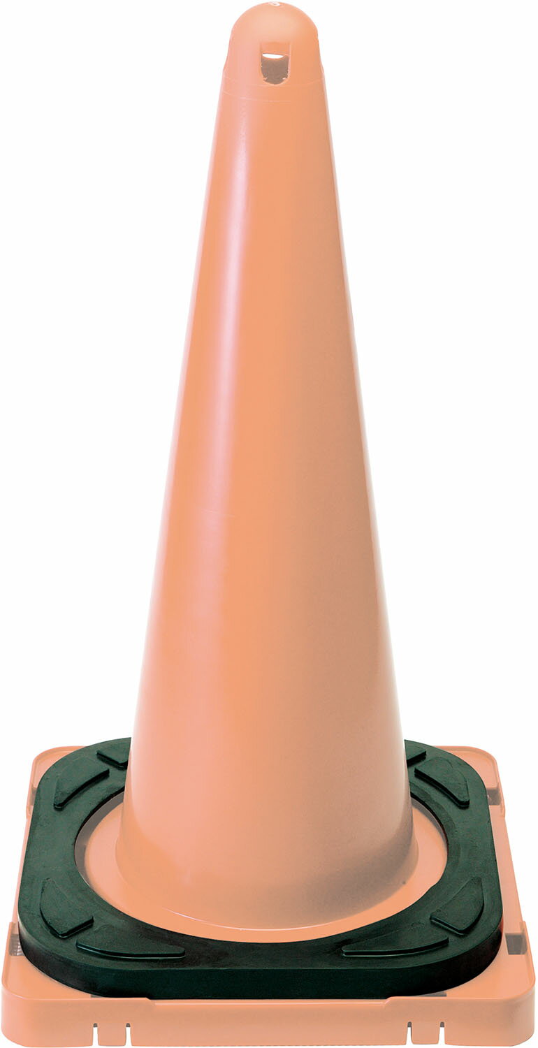 エバニュー 学校体育器具 ウェイト 器具・備品 ポストウェイトラバー EKA128