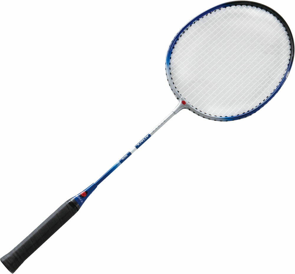 エバニュー バドミントン ラケット ラケット バドミントンラケットEV EKD431