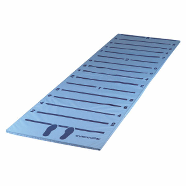 エバニュー 学校体育器具 立幅跳び測定マット グッズその他 立ち幅跳び測定マット2 EKJ099