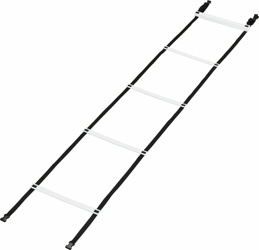 カネヤ 学校体育器具 器具・備品 トレーニングラダーAT6 K3041