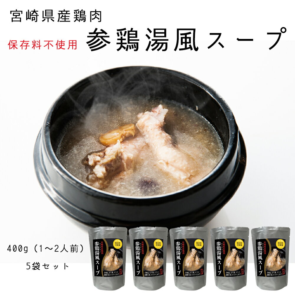 レターパック　送料無料　宮崎県産鶏肉　参鶏湯風スープ　1～2人前　5袋セット