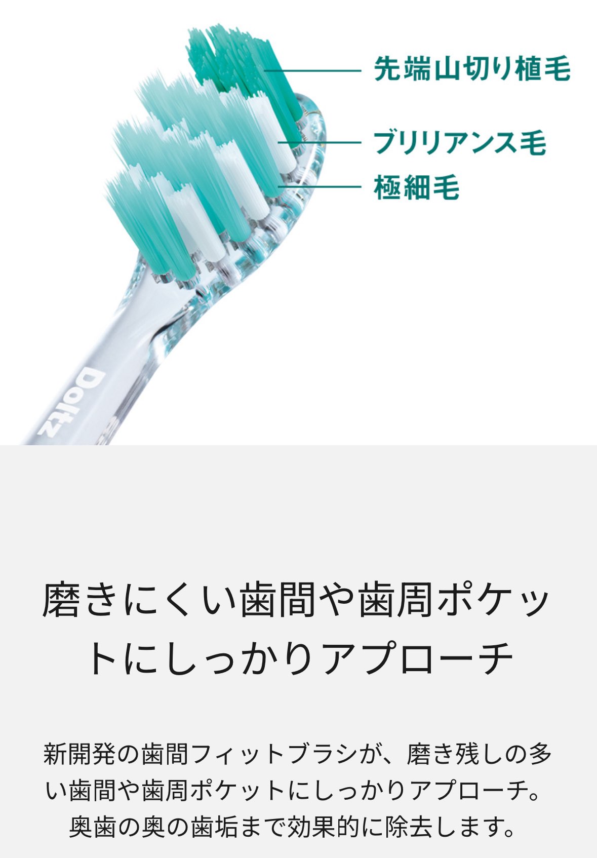 パナソニック ドルツ 替えブラシ ジェットウォッシャー 白 口腔洗浄器 電動歯ブラ...