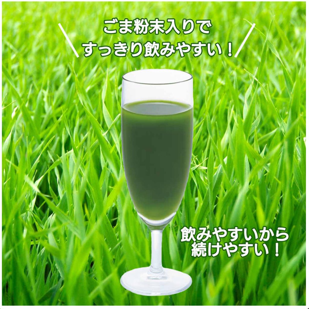 Rakuten - 青汁 プラズマ乳酸菌 免疫ケア青汁 活緑青汁plus 岩谷産業 3g×30包 グリーンマグマ 健康食品 機能性表示食品 大麦若葉 まとめ買い お取り寄せ商品 30本 30包 乳酸菌 国産 酵素 飲みやすい 野菜不足 スティック 腸活 栄養補助食品 菌活 青汁プラス