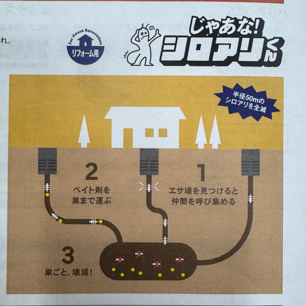シロアリ 駆除 対策 じゃあな！シロアリくん これで安心!シロアリ対策 防蟻 Bulls 床下 簡単施工 殺虫剤 ベイト剤半径50m 全滅 白蟻 リフォーム用 餌木 ステーション 埋めるだけ 簡単施工 JYTM 巣ごと全滅 ステーション1個 餌木1本 ベイト剤4本入り