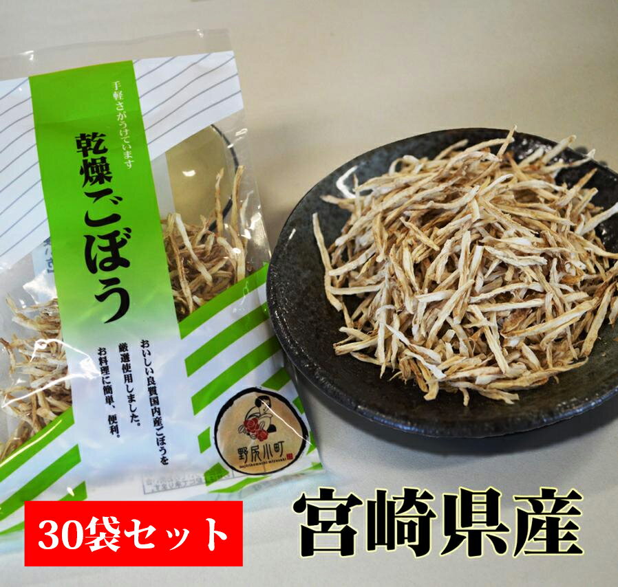 【 乾燥 ごぼう 】20g 30袋セット 宮崎県産 送料無料 乾燥野菜 炊き込みご飯 お味噌汁 買い置き ストック 宮崎産直