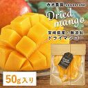 【 スーパーSALE 限定価格 】宮崎県産 無添加 ドライマンゴー 50g入り 無添加 砂糖不使用 国産 ドライフルーツ
