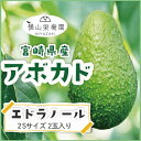 【10月下旬頃より順次発送】【送料無料】宮崎産アボカド「エドラノール」2Sサイズ(150g~199g)×2玉パック入り 【国産アボカド】【国産フルーツ】【フルー...