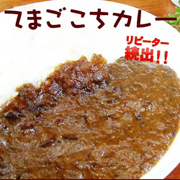 【 てまごこちカレー 1袋 】 一度食べたら癖になる じゅわーと染み出るコクと野菜の旨み【宮崎産】