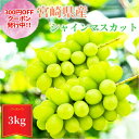 【300円OFFクーポン配布中】「8月下旬以降順次発送予定」宮崎産 シャインマスカット 3〜5房 約 3kg 種なし お中元 ギフト プレゼント女性 誕生日 還...