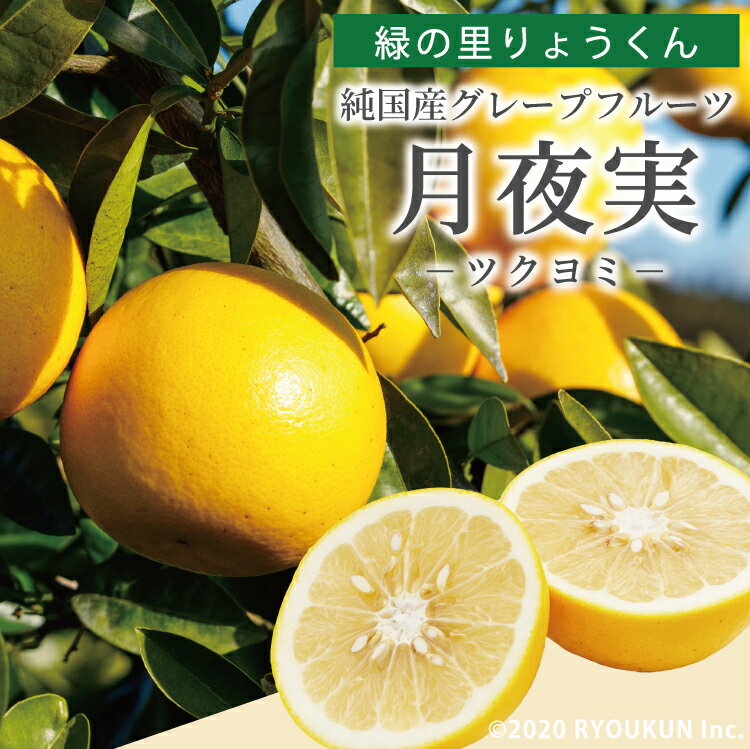 【4月上旬以降順次発送】純国産 グレープフルーツ 月夜実 ツクヨミ 約10kg(18~25玉) 宮崎県日南市産 緑の里りょうくん