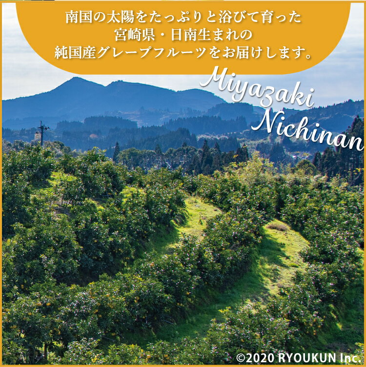 【4月上旬以降順次発送】純国産 グレープフルーツ 月夜実 ツクヨミ 約10kg(18~25玉) 宮崎県日南市産 緑の里りょうくん