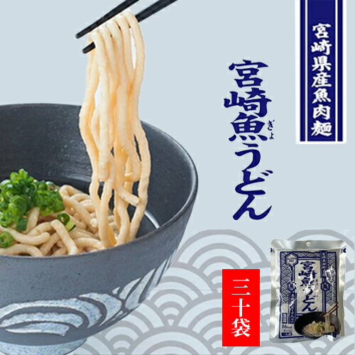 全国お取り寄せグルメ宮崎麺類No.4