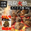 鶏の炭火焼 おつまみ 炭火焼 宮崎 【 七輪手焼き 鶏炭火 スパイス焼 50g 】お酒 おつまみ おかず おやつ 惣菜 父の日 お中元 ギフト ネコポス 送料無料