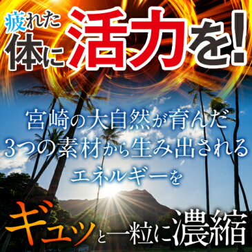 元気復活！みんなを笑顔に健康に「くろぢから」熟成【黒にんにく】、【黒しょうが】【黒酢もろみ】をギュッと一粒に凝縮した宮崎県産黒酢サプリ！【送料無料】【黒酢】【黒酢・サプリ】【生姜】【にんにく】【ショウガオール】【RCP】10P05Nov16