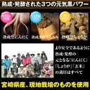 miyazakisantyoku:10000004のサンプル画像3