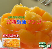 宮崎産完熟マンゴー冷凍