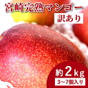 宮崎 完熟 マンゴー 訳あり お買い得な 約2kg 3~7個入り 訳ありフルーツ マンゴー 宮崎マンゴー 国産マンゴー 送料無料 宮崎産