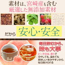 miyazakisantyoku:10000399のサンプル画像2