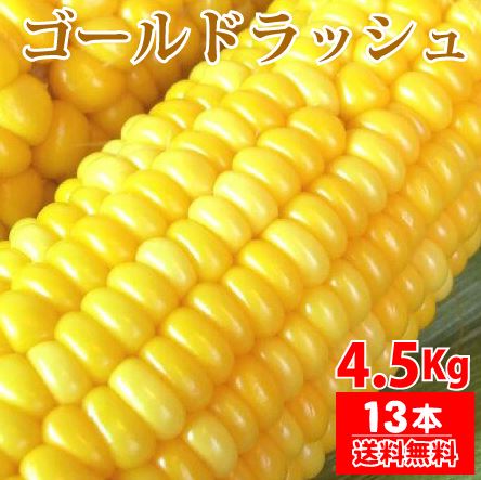 とうもろこし　極甘品種おおもの 生で食べられる　菜の花こーん Lサイズ10本(約3kg以上) 朝採り 農家直送 ゴールドラッシュより甘い品種おおもの 予約