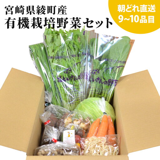 宮崎県綾町産 有機栽培 野菜セット Mサイズ 9 ~ 10 品目 野菜セット 減農薬 やさい オーガニック 有機 野菜 jas 一人暮らし 野菜 宮崎産 野菜 宮崎県綾町産 有機栽培 野菜セット Mサイズ 9 ~ 10 品目 野菜セット 減農薬 やさい オーガニック 有機 野菜 jas 一人暮らし 野菜 宮崎産 野菜
