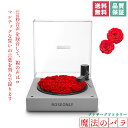 ROSEONLY プリザーブドフラワー ブルートゥース蓄音機 プリザーブドフラワーボックス デスティニーローズ 本物のローズ 花 誕生日 母の日 記念日 バレンタインデー 告白 プロポ