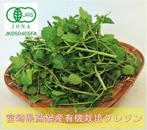 宮崎県高鍋産有機栽培クレソン大容量・量売り（200g入り）