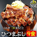 うなぎ まるごと三匹 ひつまぶし 9食 無添加 冷凍 父の日 ギフト のし対応 化粧箱入り 国産 鹿児島県産 特大 日本うなぎ 鰻 ウナギ 鰻丼 うな丼 鰻重 うな重 せいろ蒸し セイロ蒸し お茶漬け 茶漬け 冷やし茶漬け 薬味付きプレゼント 送料無料