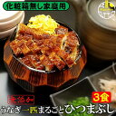 まるごと一匹 ひつまぶし 3食 【家庭用】無添加 冷凍 国産 鹿児島県産 特大 日本うなぎ 鰻 ウナギコスパ重視 化粧箱無し 鰻丼 うな丼 鰻重 うな重 せいろ蒸し セイロ蒸し お茶漬け 薬味付き プレゼント ご贈答 送料無料(4)