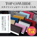 (期間限定)ツートンカラー 名刺入れ レザーカードケース 名刺入れ ステンレス スタイリッシュ ビジュアル 名刺入れ レザー ビジネス 得トク2WEEKS セー...