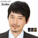 メンズウィッグ かつら フルウィッグ ヘアウィッグ 男性用 全頭 ショートヘア 短髪 ストレート おしゃれ かっこいい 裏ネット サイズ調節可 ブラッ