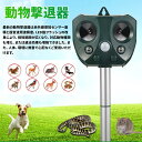 害獣対策器 超音波 猫よけ 動物撃退器 鳥よけ 動物撃退機 害獣撃退 猫退治 犬よけ ネズミ除け 2400mAh大容量&超長待機 USB充電&ソーラ