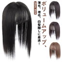 ウィッグ 部分ウィッグ トップカバー 前髪付きウィッグ 薄毛対策 白髪隠し 人工毛 自然 頭頂部 かつら ウィッグ ヘアピース 小顔効果 増毛 分け目
