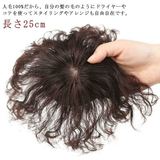 トップカバー 白髪隠し ウィッグ 人毛100% 長さ25cm 送料無料 ヘアピース ウィッグ 滑り止め トップ 薄毛対策 ピース トップ カバー ウ トップカバー 白髪隠し ウィッグ 人毛100% 長さ25cm 送料無料 ヘアピース ウィッグ 滑り止め トップ 薄毛対策 ピース トップ カバー ウ