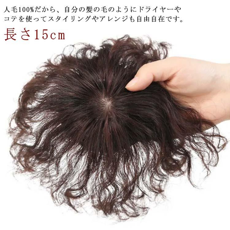 ウィッグ 部分ウィッグ 人毛100% 長さ15cm 白髪隠し 送料無料 ヘアピース 薄毛対策 トップカバー 滑り止め トップ ピース トップ カバー