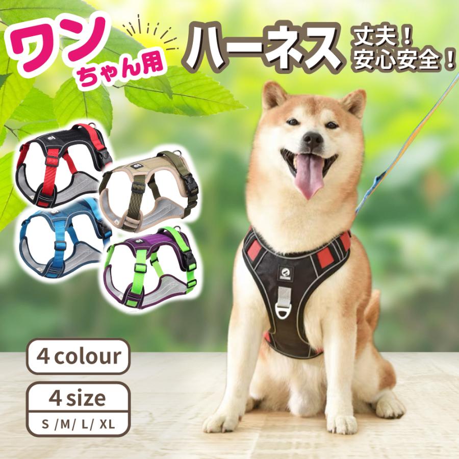  ϡͥ Ƹ ѥϡͥ 緿  襤  淿 æʤ ϡͥ ̵