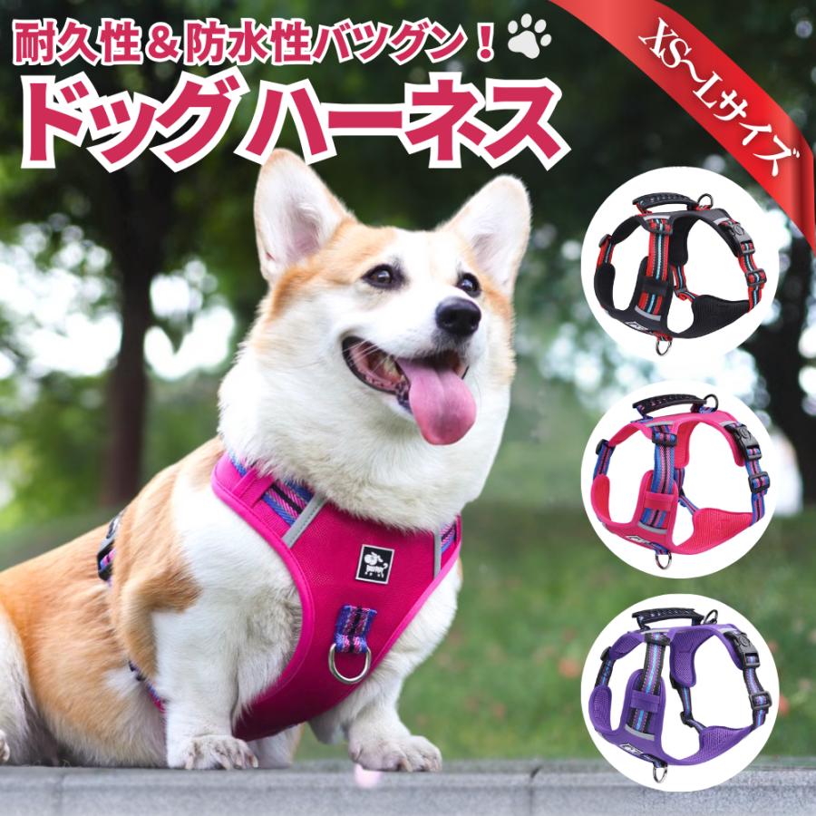  ϡͥ 淿  Ƹ ȴʤ ȴˤ å ôξʤ ƥåץϡͥ ϡͥ  ϥɥդ XS...