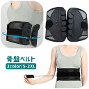 骨盤ベルト 骨盤補正 腹帯 補正下着 コルセット サポーター レディース メンズ 女性 男性 腹帯 引き締め お腹引き締め 固定 補整 サポートベルト