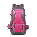 登山 リュック大容量 60l レディース メンズ バックパック 山登り リュックサック ザック おしゃれ バッグ 旅行 合宿 送料無料