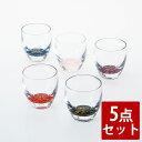 【5%クーポン配布中】 紀州塗り ぬりもん de Verre 冷酒グラス きらり 5点セット 送料無料 ガラス デ ヴェール 日本製 国産