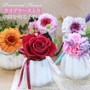 【全品ポイント5倍 4/20限定】 プリザーブドフラワー クリアケース入り マノン 一輪花 母の日 ギフト アレンジメント お花 かわいい プレゼント バラ 薔薇 カーネーション ガーベラ そのまま飾れる インテリア お祝い 誕生日 プリザード おしゃれ 雑貨 送料無料 ラッピング可