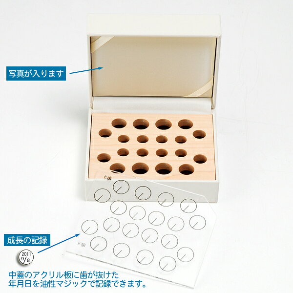 【最大10％OFFクーポン 8/5まで】 送料無料 TEETH BOX（乳歯ケース） ドット ピン...