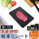 【5%OFFクーポン 9日20時〜】 解凍プレート Sサイズ 230×165mm 厚さ 3mm 急速解凍 瞬間解凍 プレート アルミ 肉 魚 冷凍食品 の解凍 ...