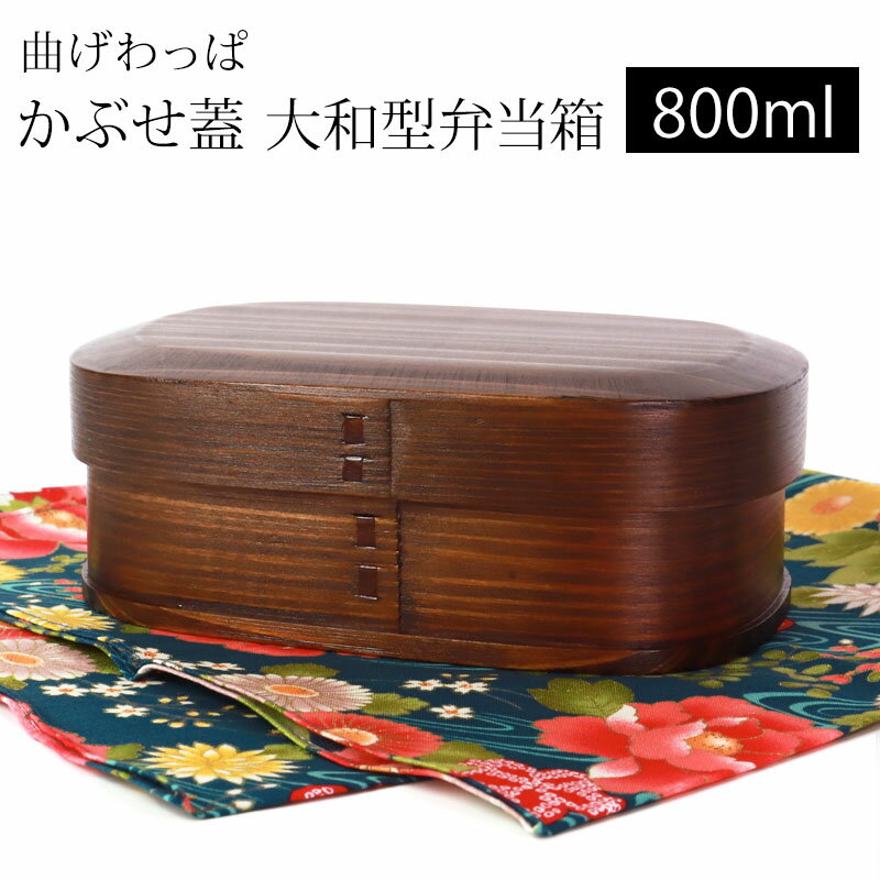 弁当箱 清原 幅240 奥行150 高さ180/業務用/新品/小物送料対象商品/テンポス