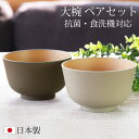 【全品ポイント5倍 30日限定】 大椀 お椀 2個セット 700ml ペア アースカラー 食洗機対応 電子レンジ対応 おしゃれ かわいい 北欧 おわん 汁椀 抗菌加工 大きめ 軽い 軽量 割れにくい マルチボウル お碗 カフェ シンプル ナチュラル 箱入り ギフト 日本製 山中漆器