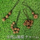 【全品ポイント5倍 3日0時開始!】 山葡萄 チャーム バッグチャーム キーホルダー ストラップ 飾り かごバッグに お財布に アクセサリー 根付け 山ぶどう ...